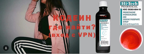 прущие грибы Абаза
