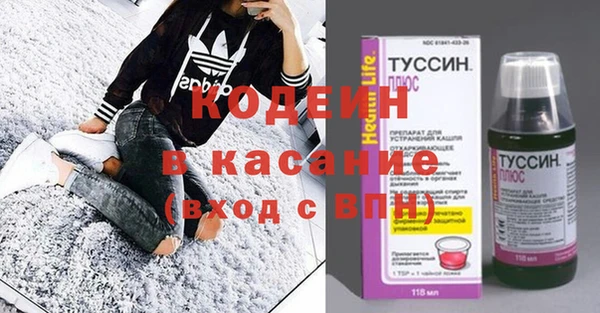 прущие грибы Абаза