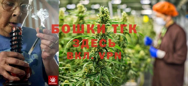 прущие грибы Абаза