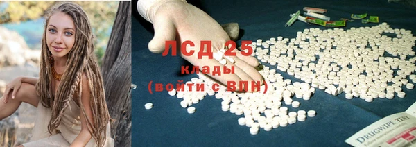 прущие грибы Абаза