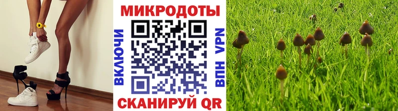 Галлюциногенные грибы Cubensis  площадка состав  Агрыз 
